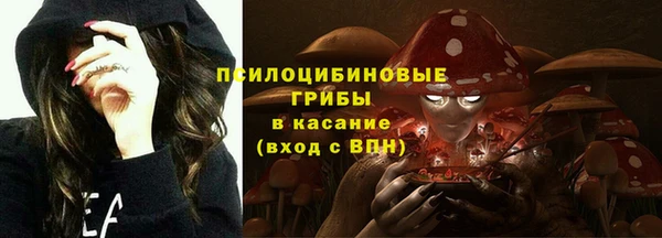 дурь Верхний Тагил