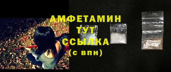 твердый Переславль-Залесский