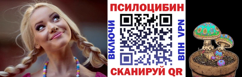 Псилоцибиновые грибы Psilocybine cubensis  Касли 